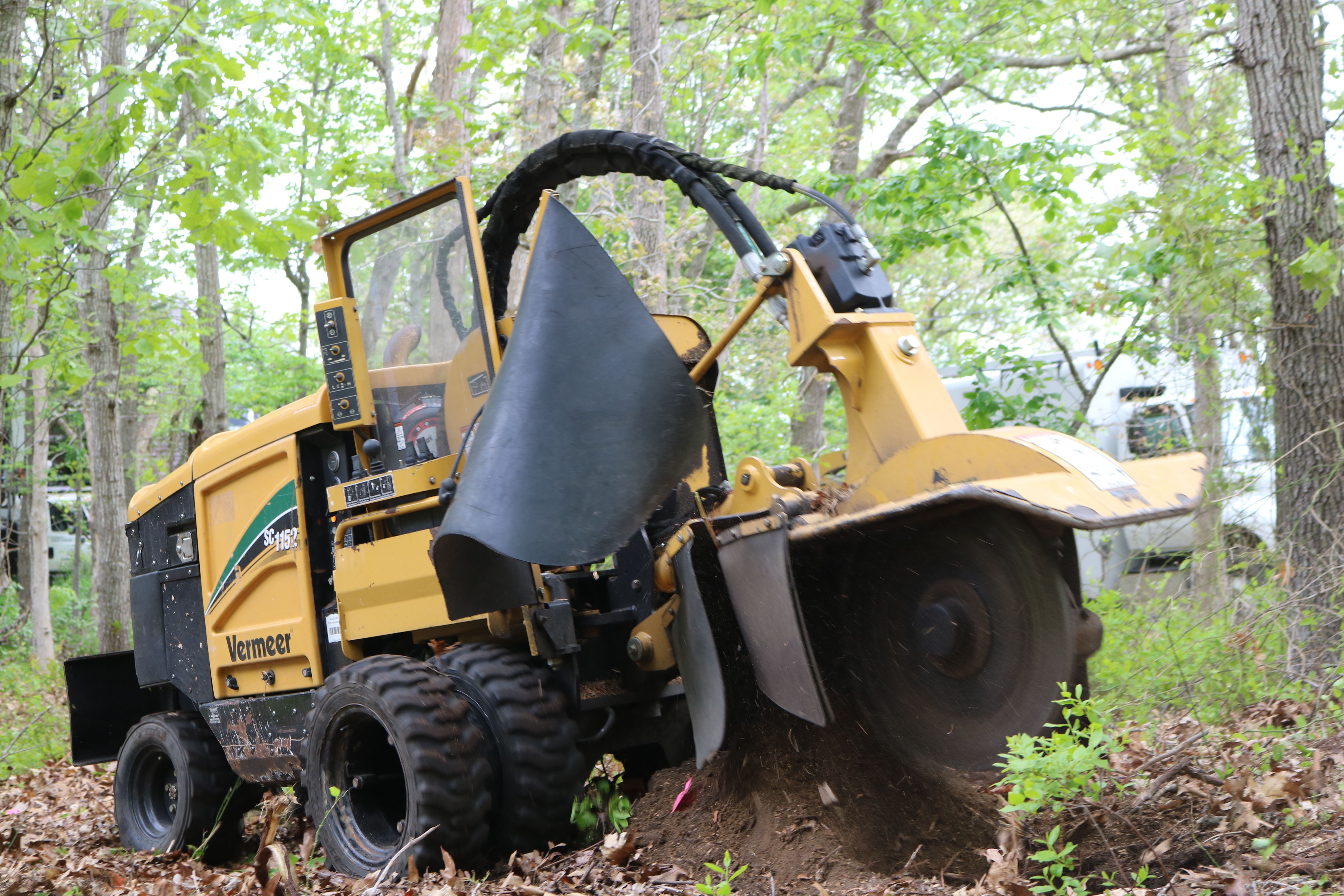 at the top tree services stump grinder for stump removal services