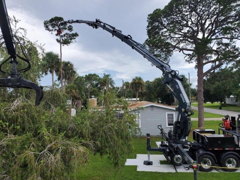 Crane Tree Removal Long Island NY from at the top tree service corp