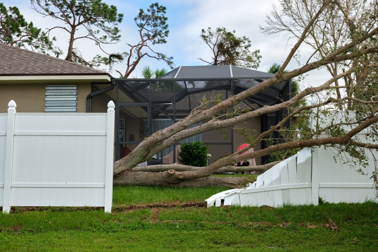 Storm Damage Cleanup Long Island NY by at the top tree service corp
