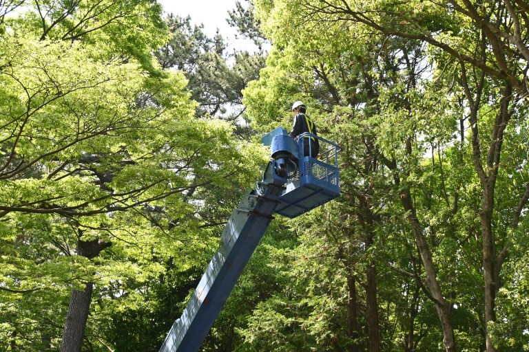 using a lift in a customers backyard for tree pruning long island ny from at the top tree service corp