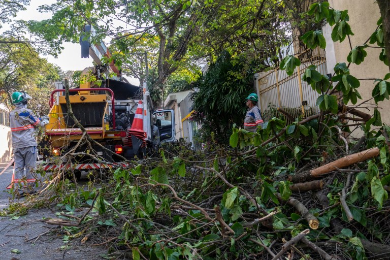 Tree Cutting Long Island NY by at the top tree service corp and its crew