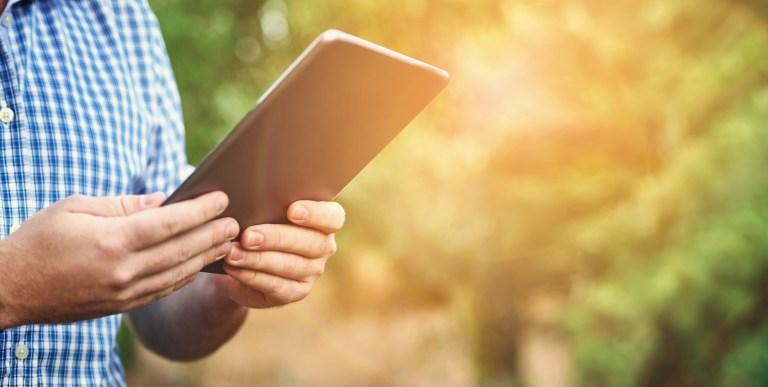 Tree Inspection Long Island NY from at the top tree service corp