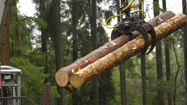 tree removal with a crane and grapple