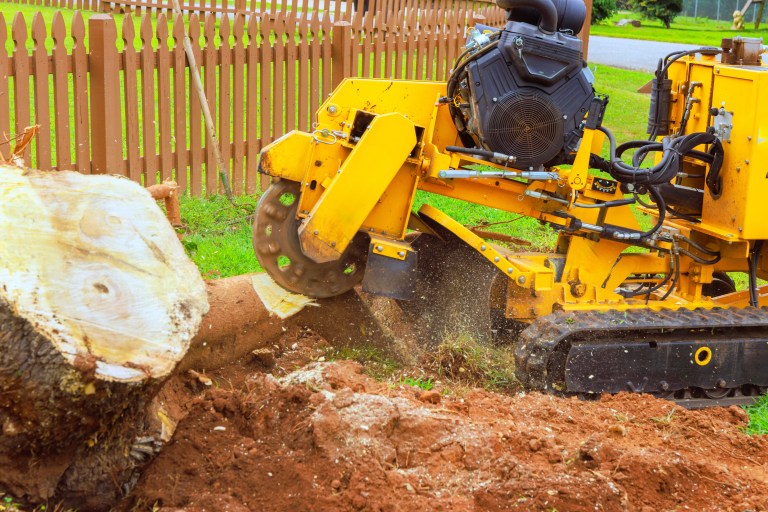 stump removal services with a stump grinder from at the top tree service corp